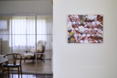 【 Flower Art Panel 】空間に花のエネルギーを──