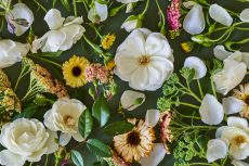 【 Monthly Flower Collage 】April 2023