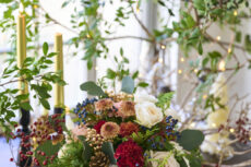 【 Flower photo in December  2025】